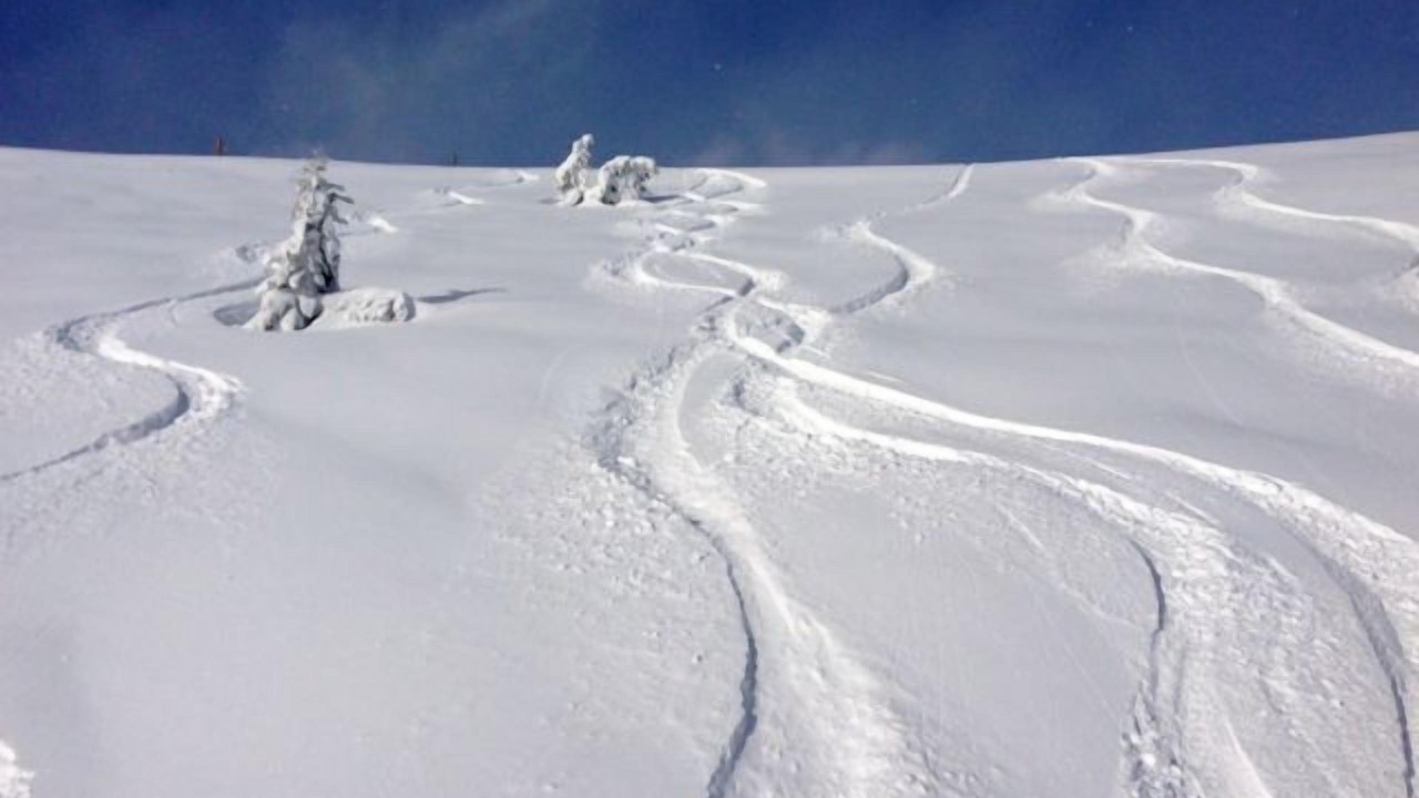 Photo of Others in Ketchum