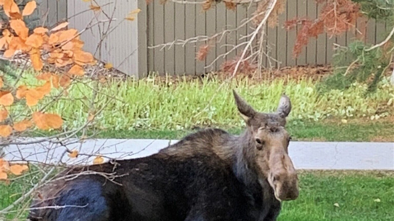 Photo of Others in Teton Village