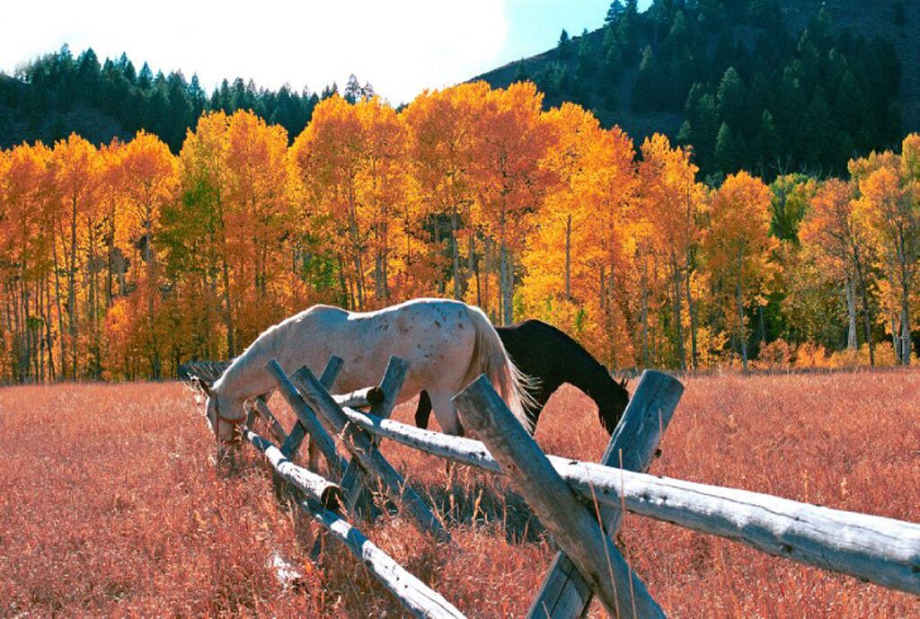 Photo of Outdoor in Ketchum