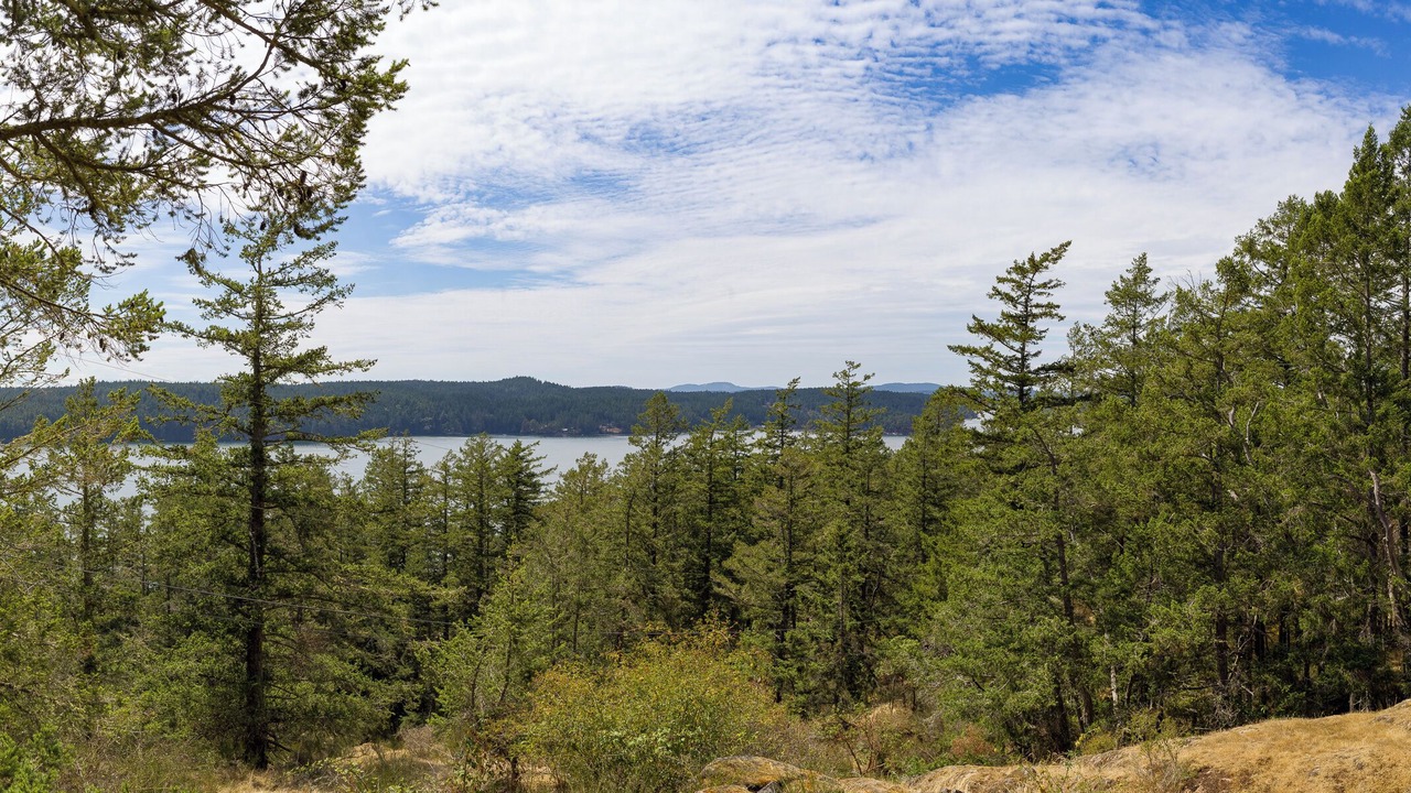 Photo of Others in Orcas