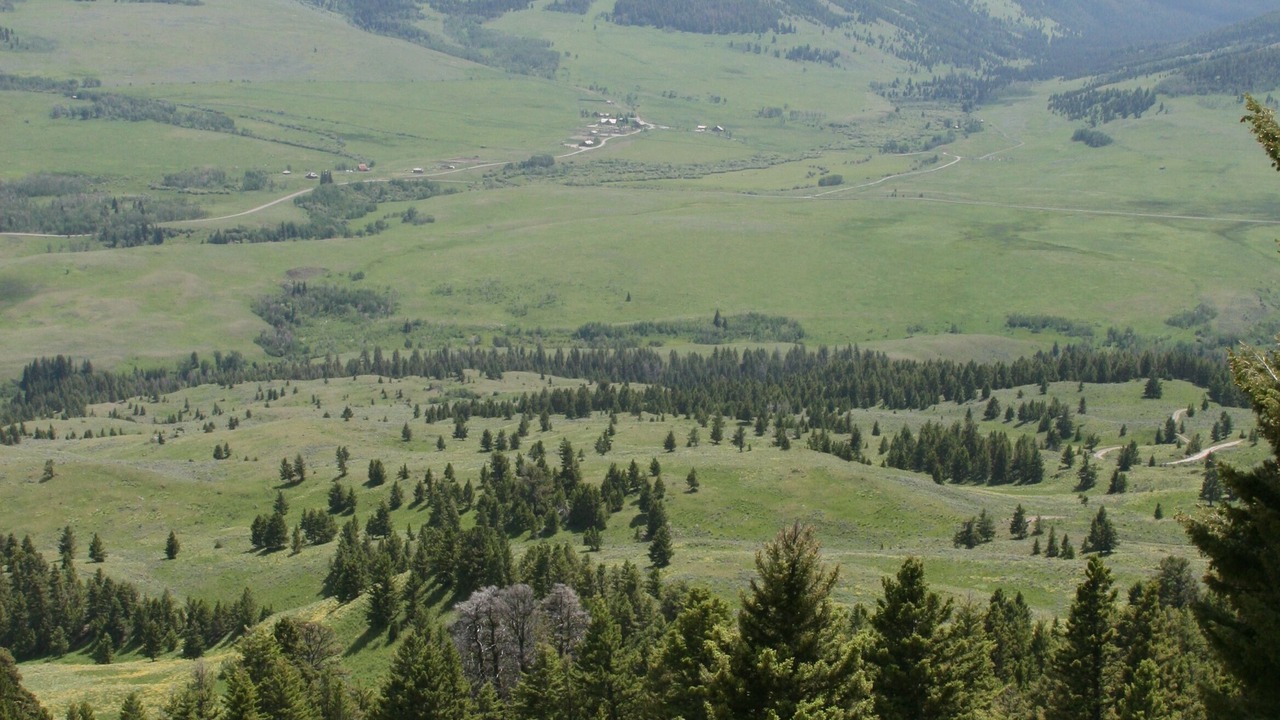 Photo of Others in Emigrant