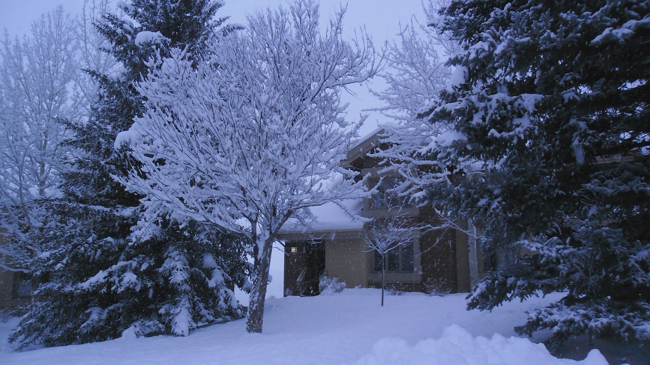Photo of Others in Elkhorn Village