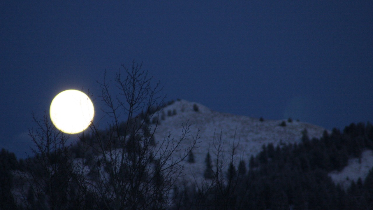 Photo of Others in Ketchum