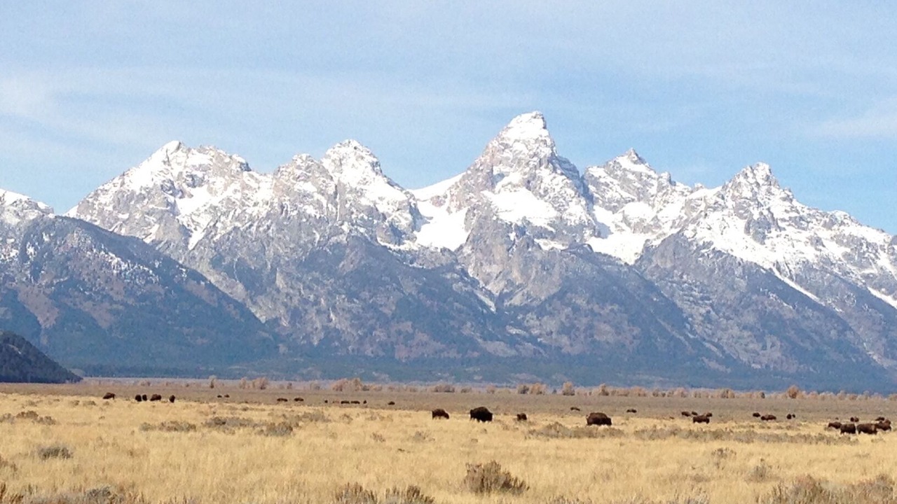 Photo of Others in Teton Village
