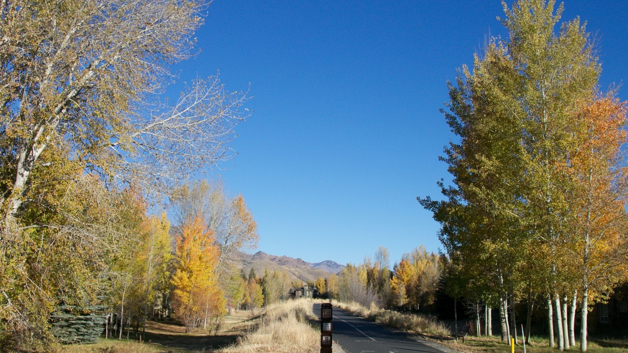 Photo of Others in Ketchum