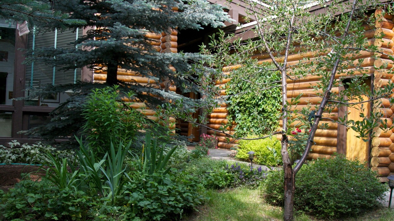 Photo of Others in Ketchum