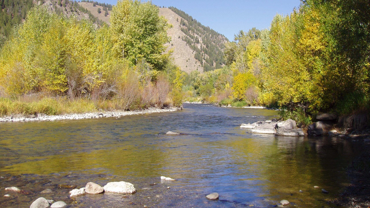 Photo of Others in Ketchum
