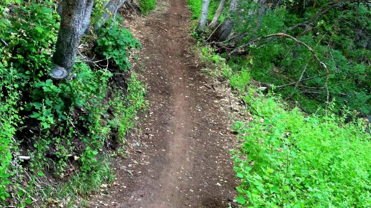 Photo of Outdoor in Ogden