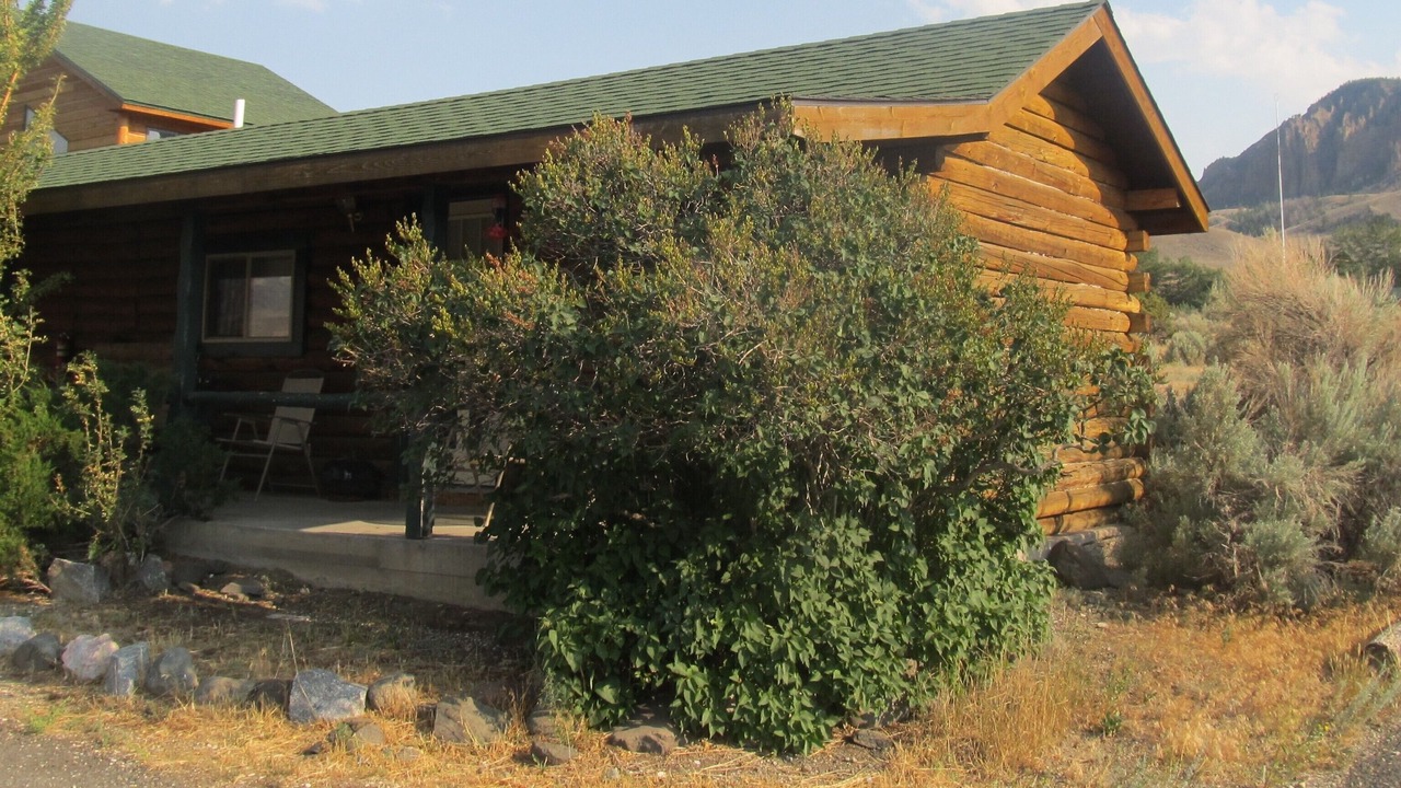 Photo of Outdoor in Wapiti