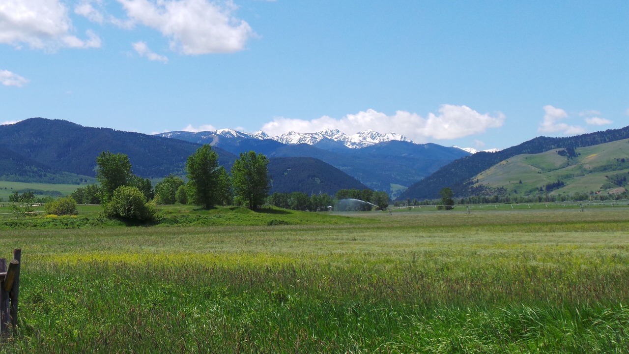 Photo of Others in Bozeman