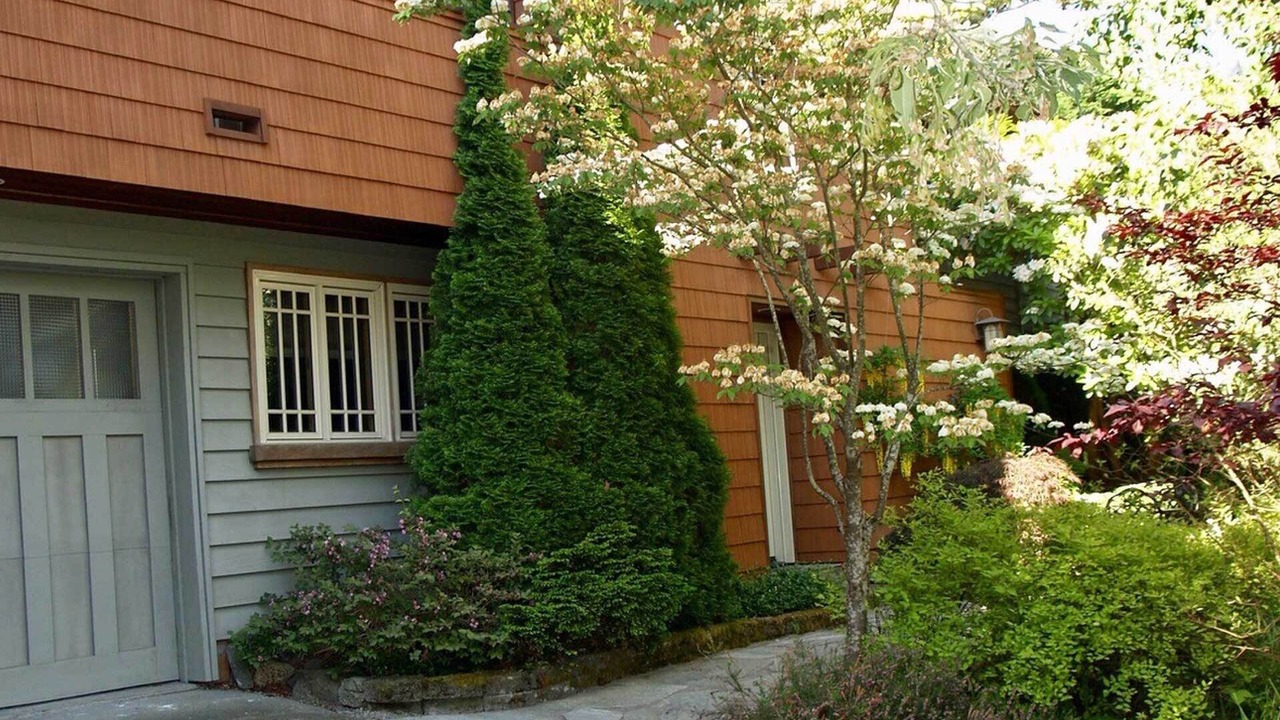 Photo of Outdoor in Mount Baker