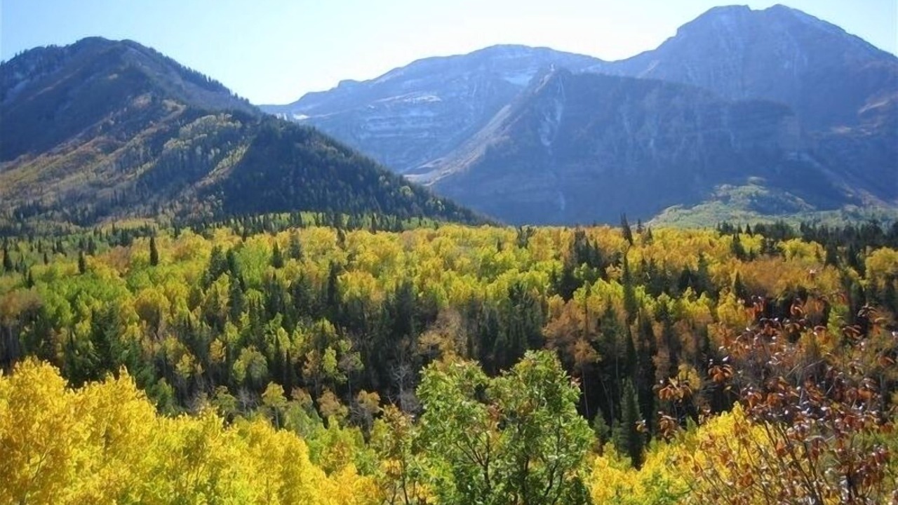 Photo of Others in Park City