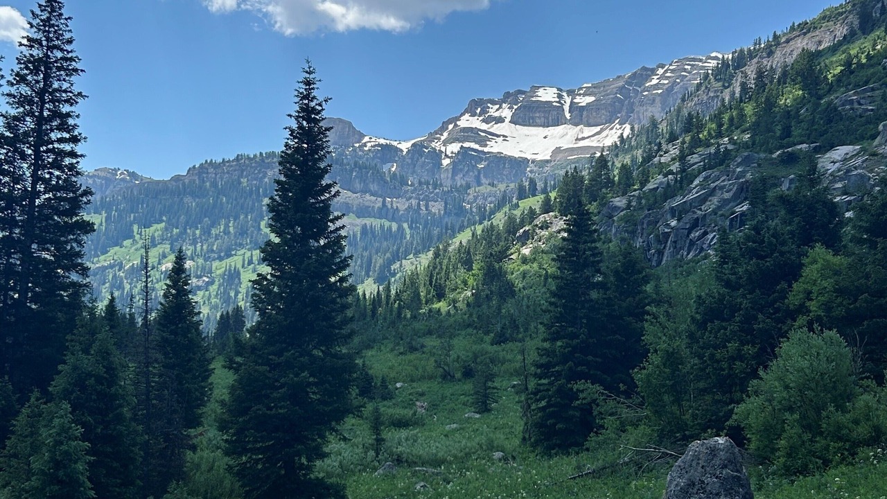 Photo of Outdoor in Driggs