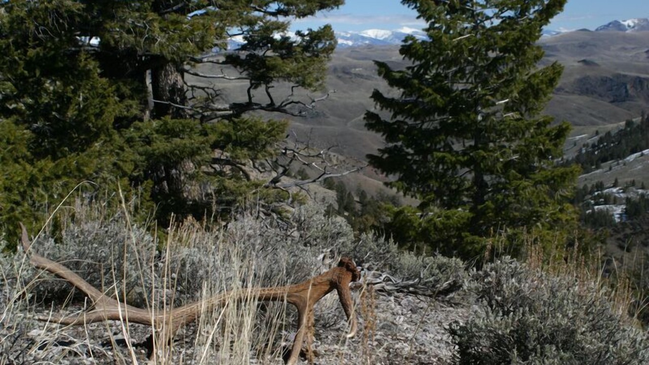 Photo of Others in Idaho