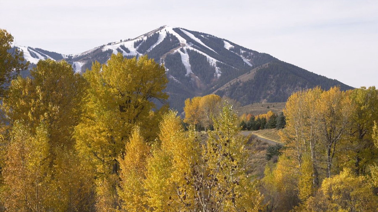 Photo of Others in Ketchum