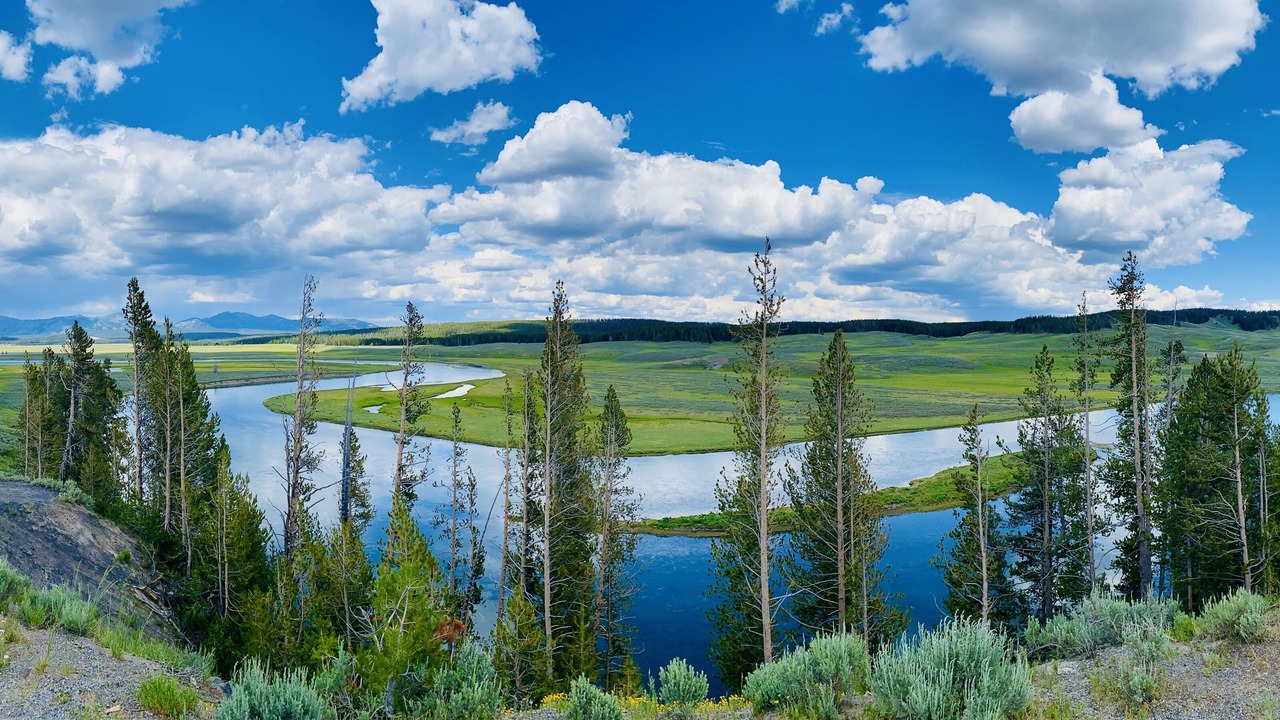Photo of Others in West Yellowstone