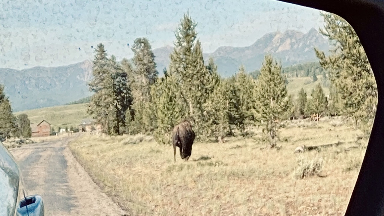 Photo of Others in West Yellowstone