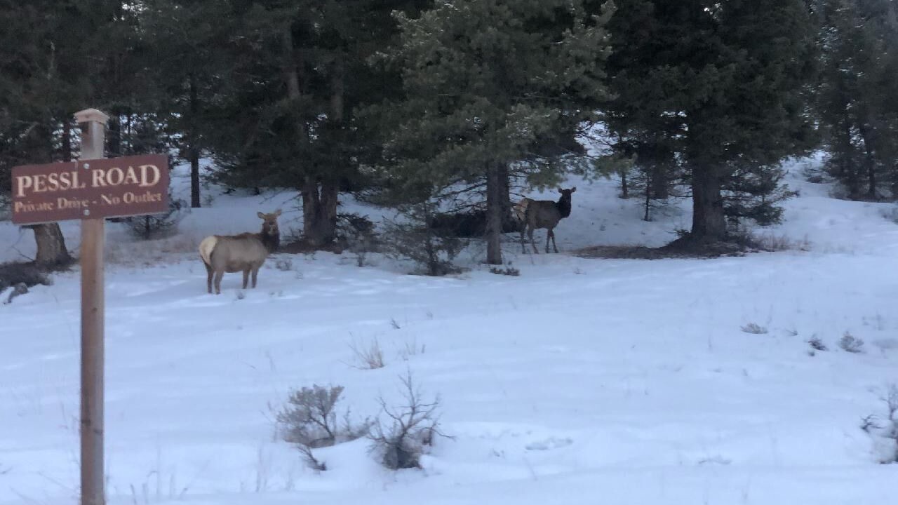 Photo of Others in Gallatin Gateway