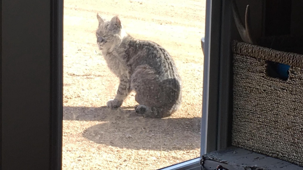 Photo of Others in Estes Park