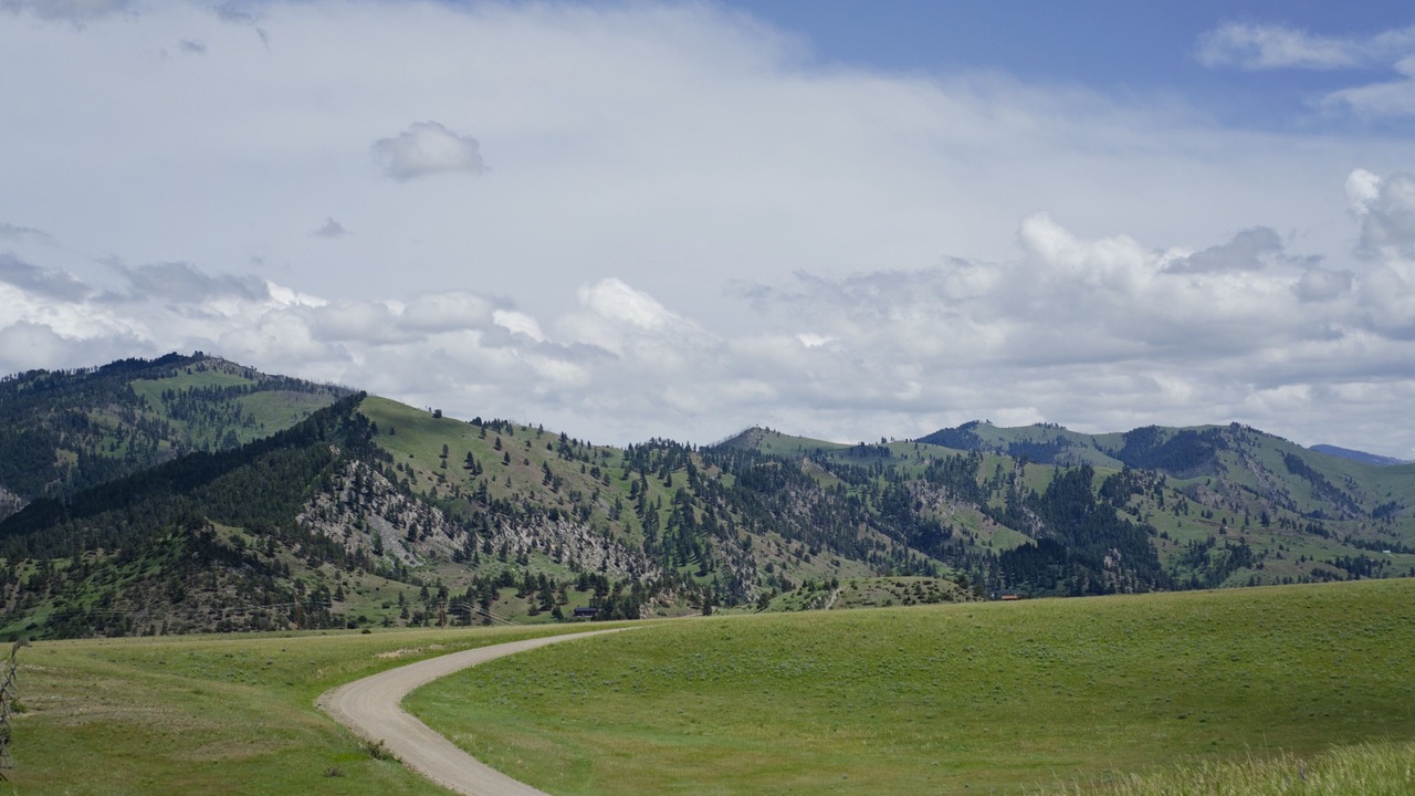 Photo of Others in Wolf Creek