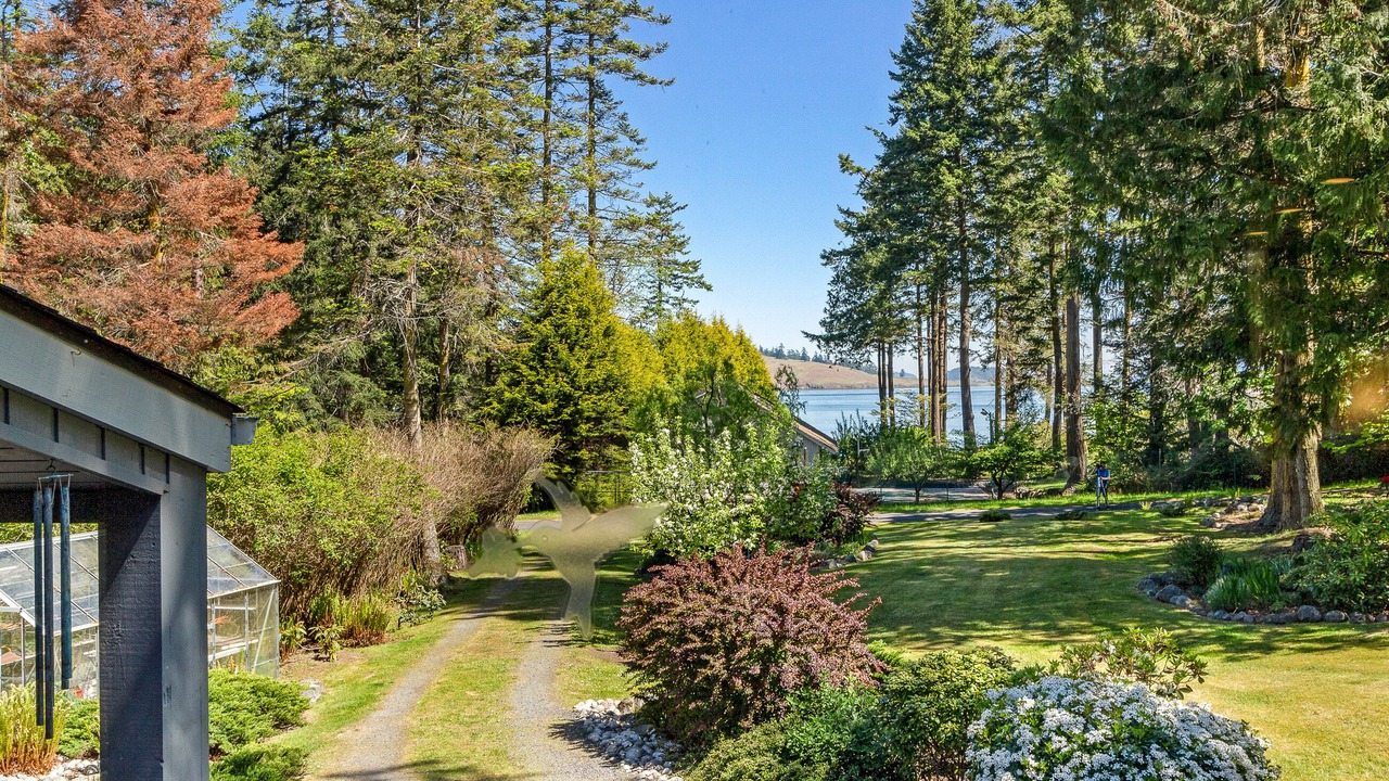 Photo of Others in Roche Harbor