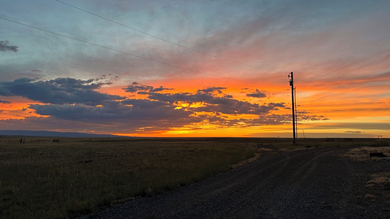 Photo of Others in Laramie