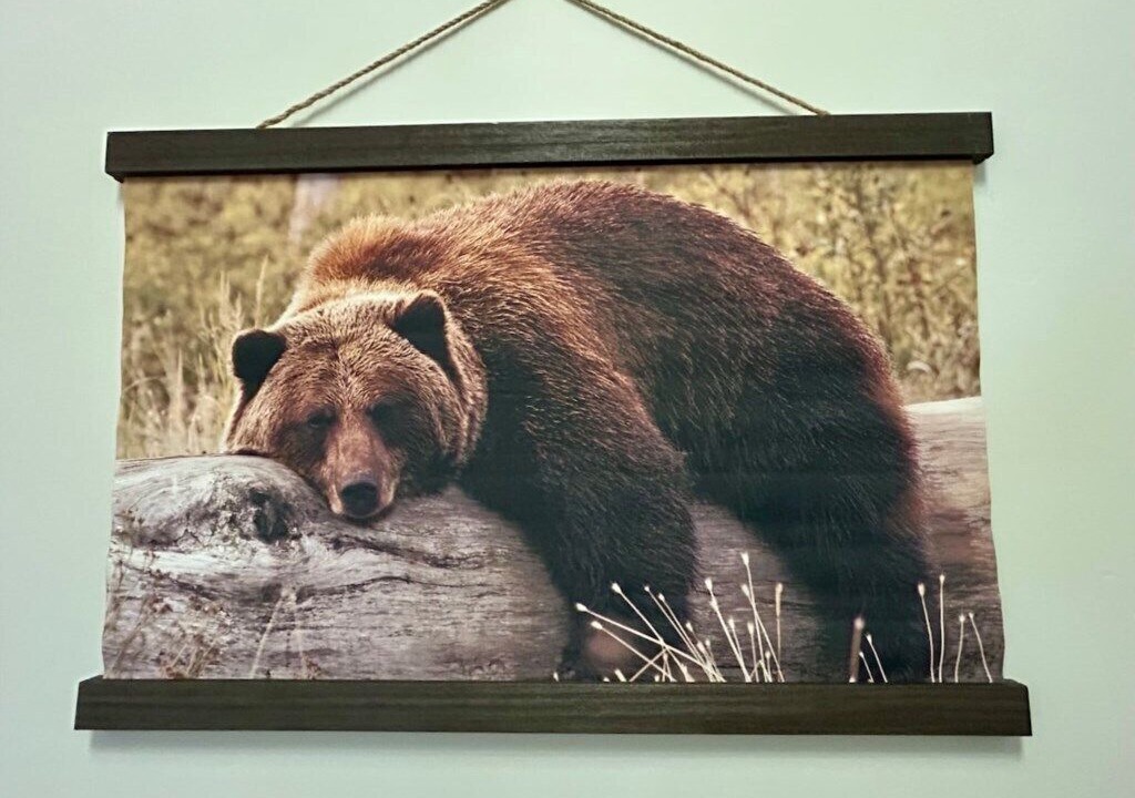 Photo of Others in Island Park