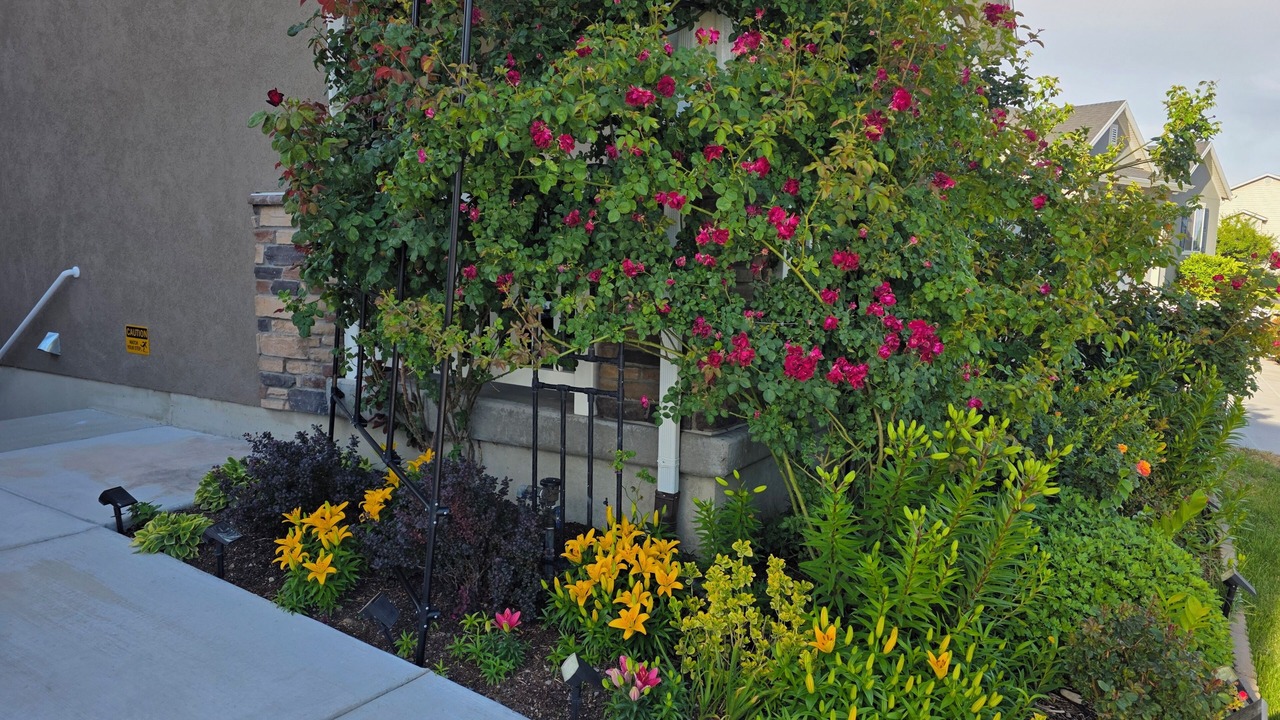 Photo of Outdoor in Orem North