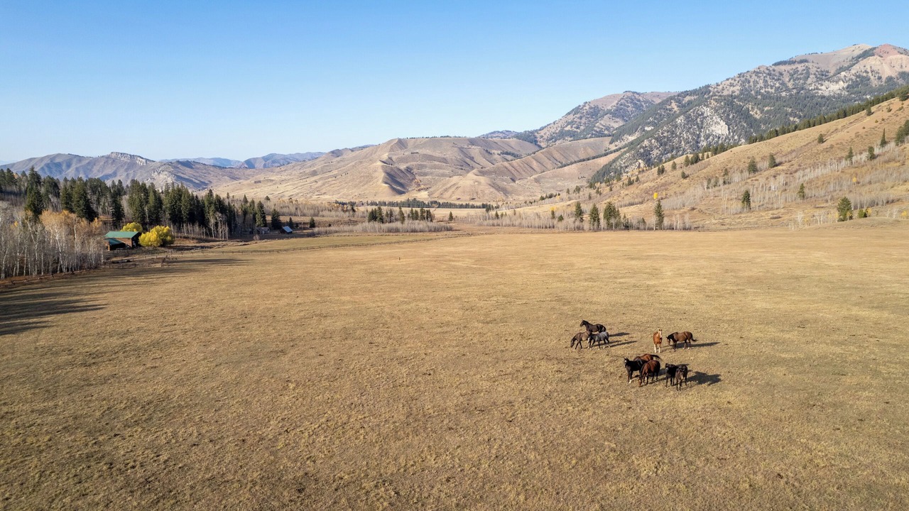 Photo of Others in Hoback Junction