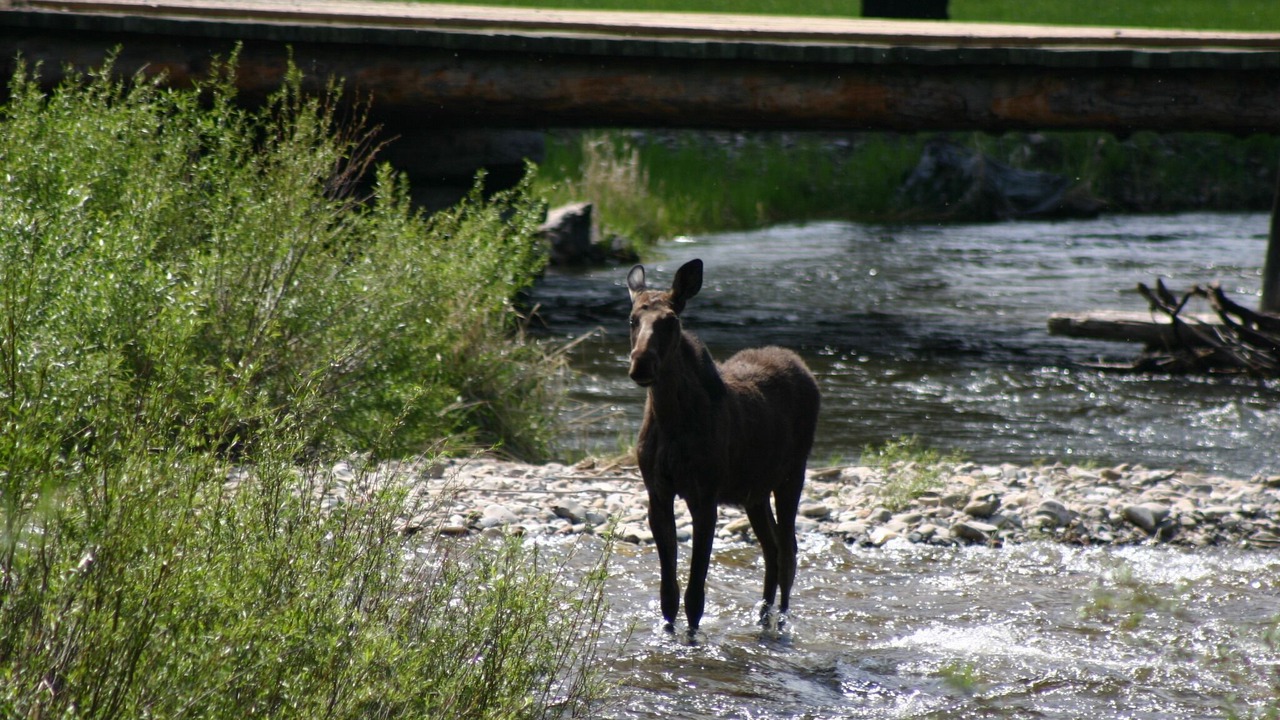 Photo of Others in Darby