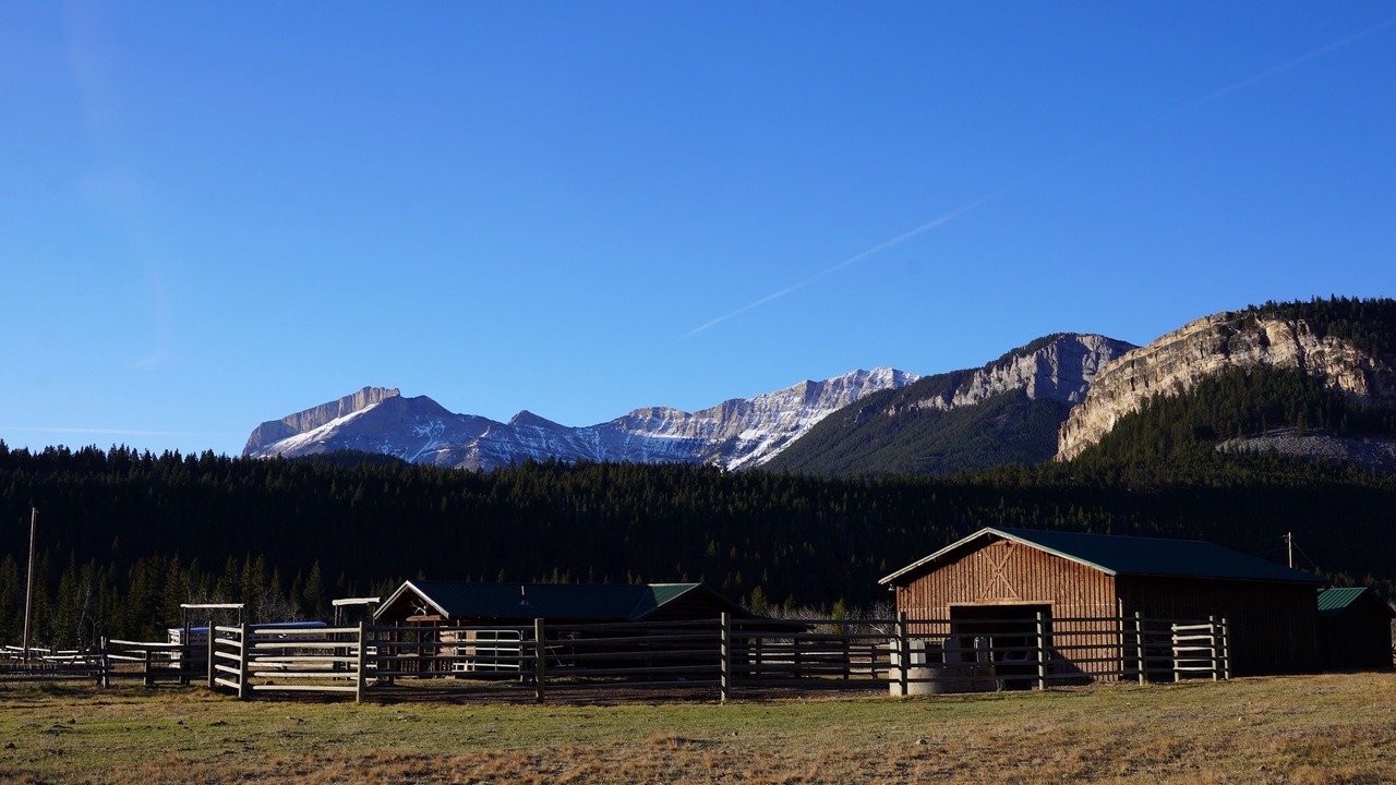 Photo of Others in Choteau