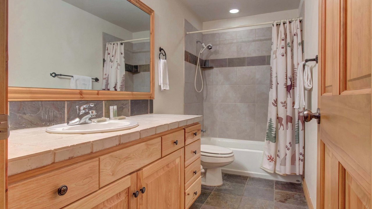 Photo of Bathroom in Bear Hollow Village
