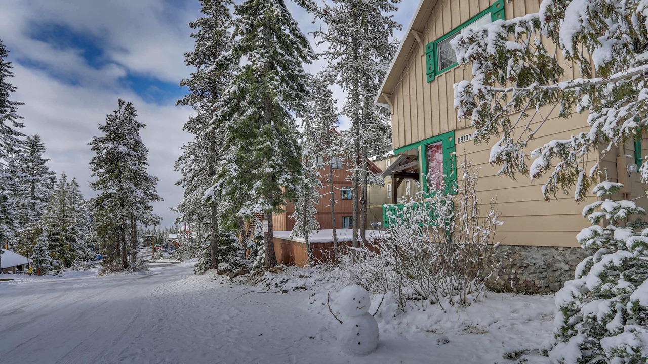 Photo of Outdoor in Government Camp