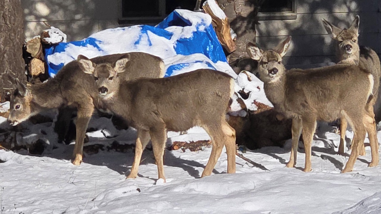 Photo of Others in Nampa