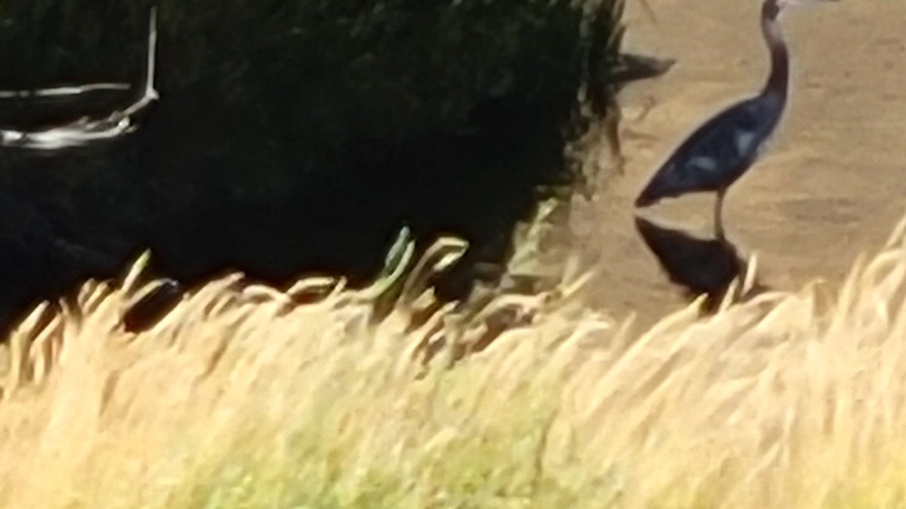 Photo of Others in Kimball Junction