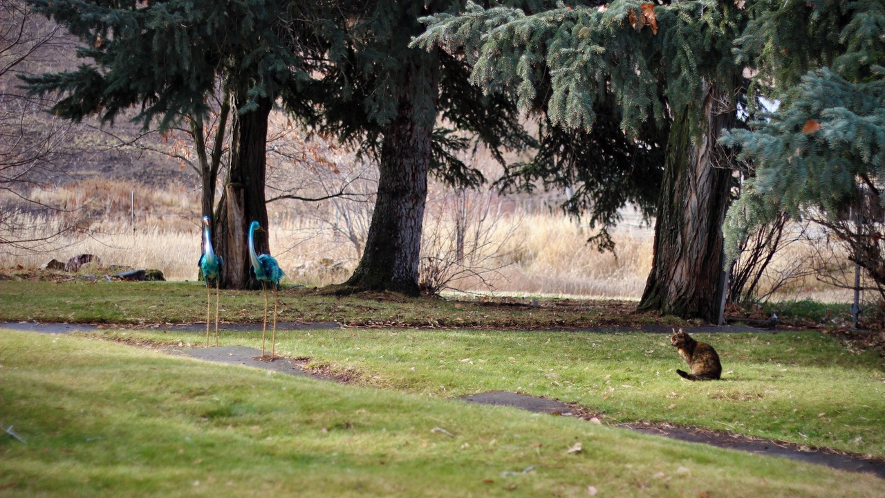 Photo of Outdoor in Preston