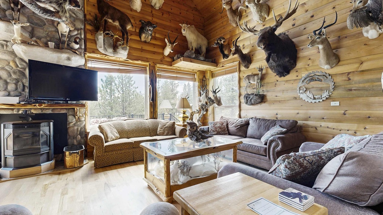 Photo of Livingroom in New Meadows