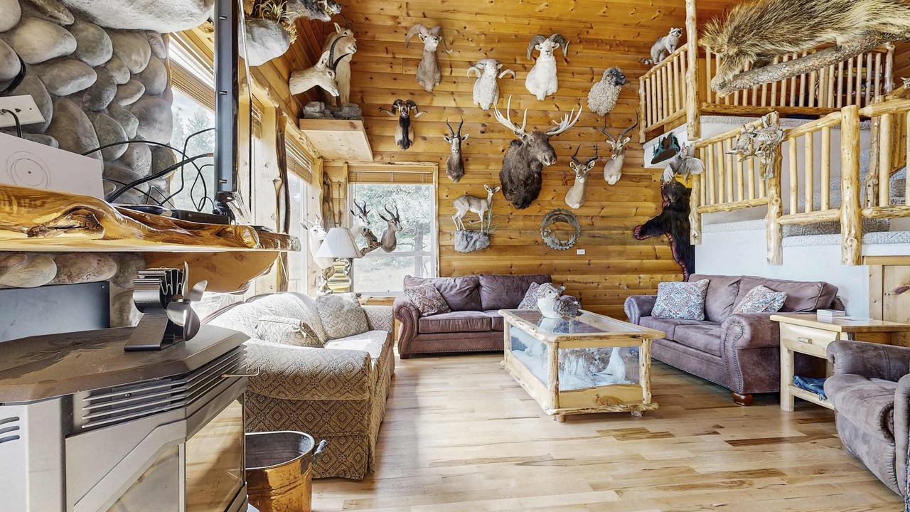 Photo of Livingroom in New Meadows