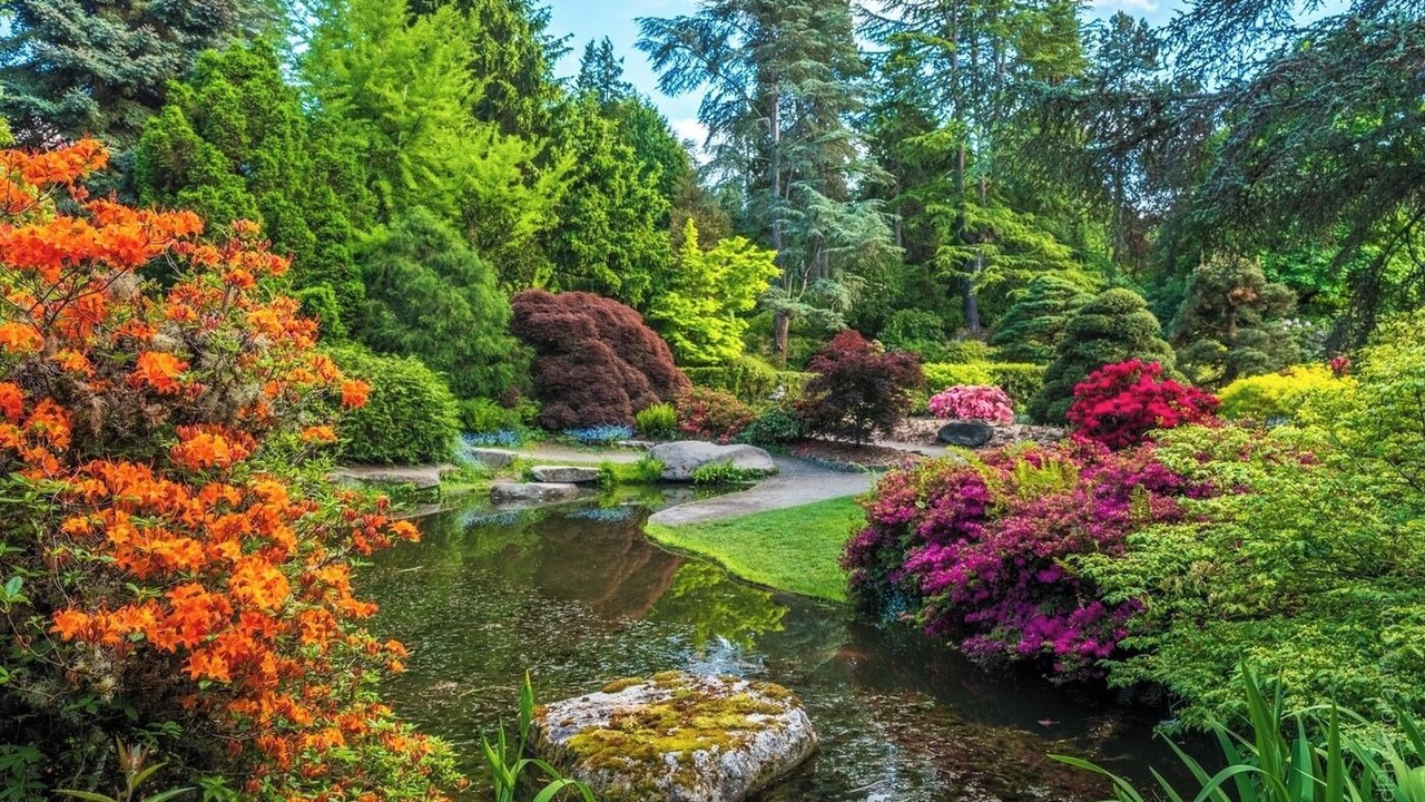 Photo of Outdoor in Renton
