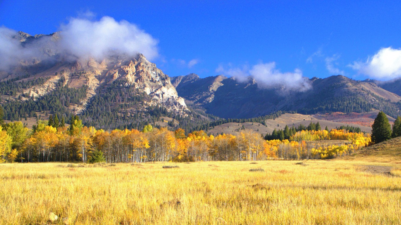 Photo of Others in Board Ranch
