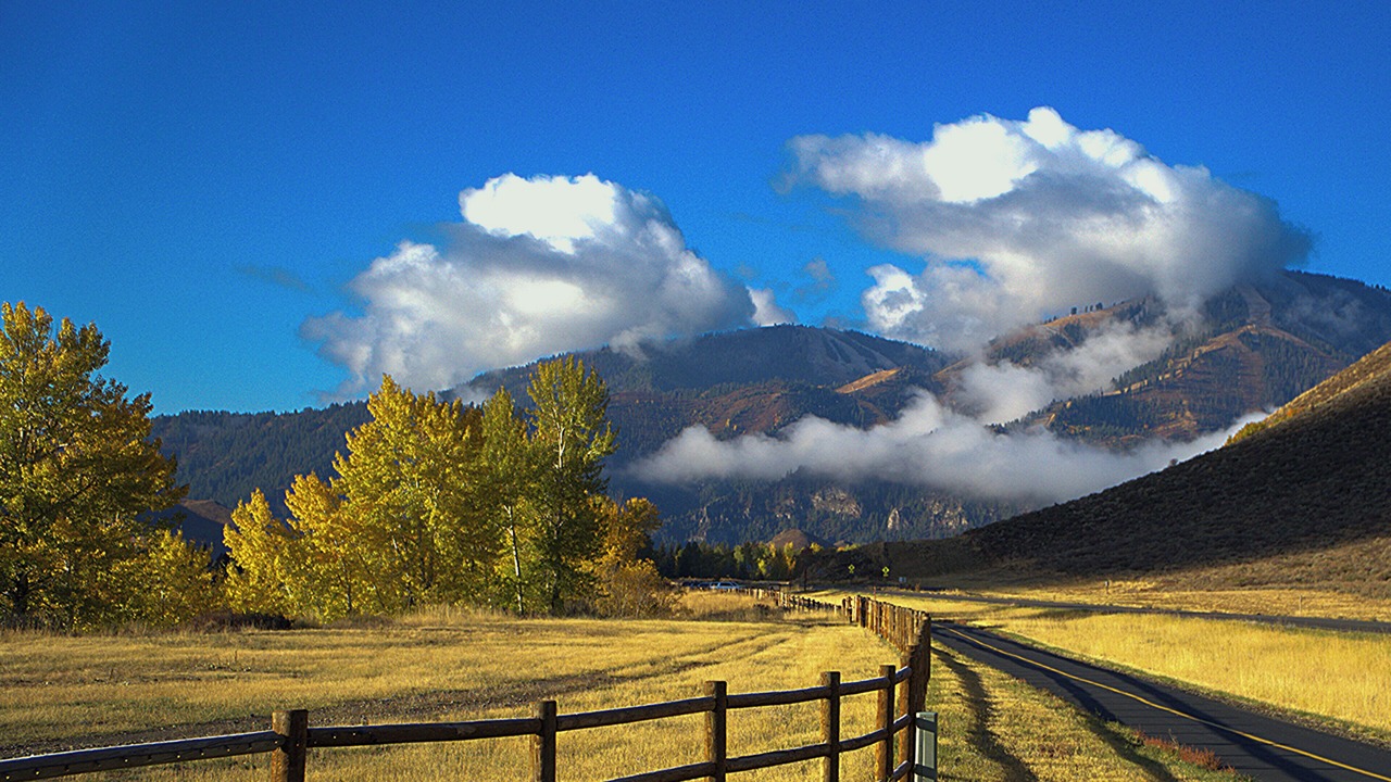 Photo of Others in Board Ranch