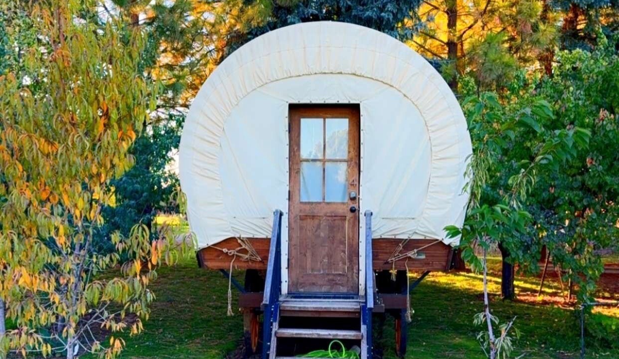 Photo of Outdoor in Moreland