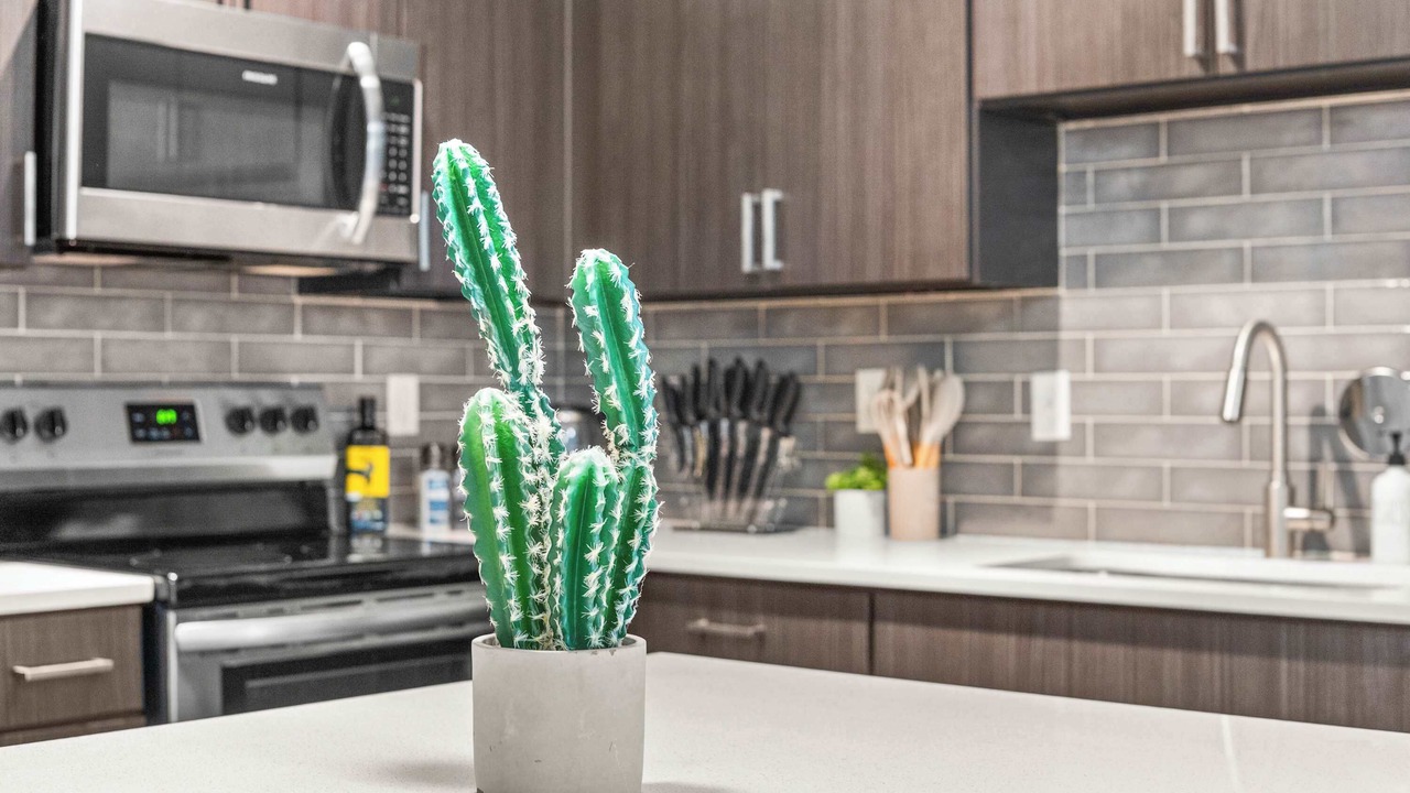Photo of Kitchen in Fairpark
