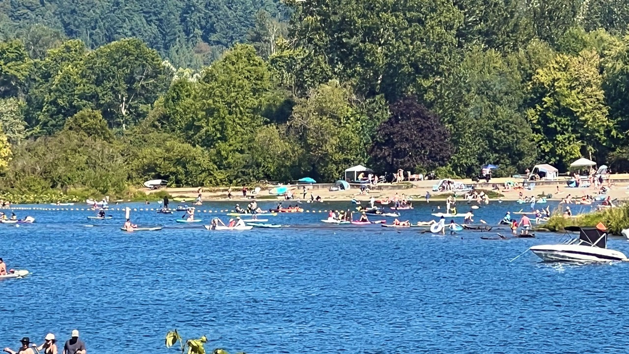 Photo of Others in Issaquah