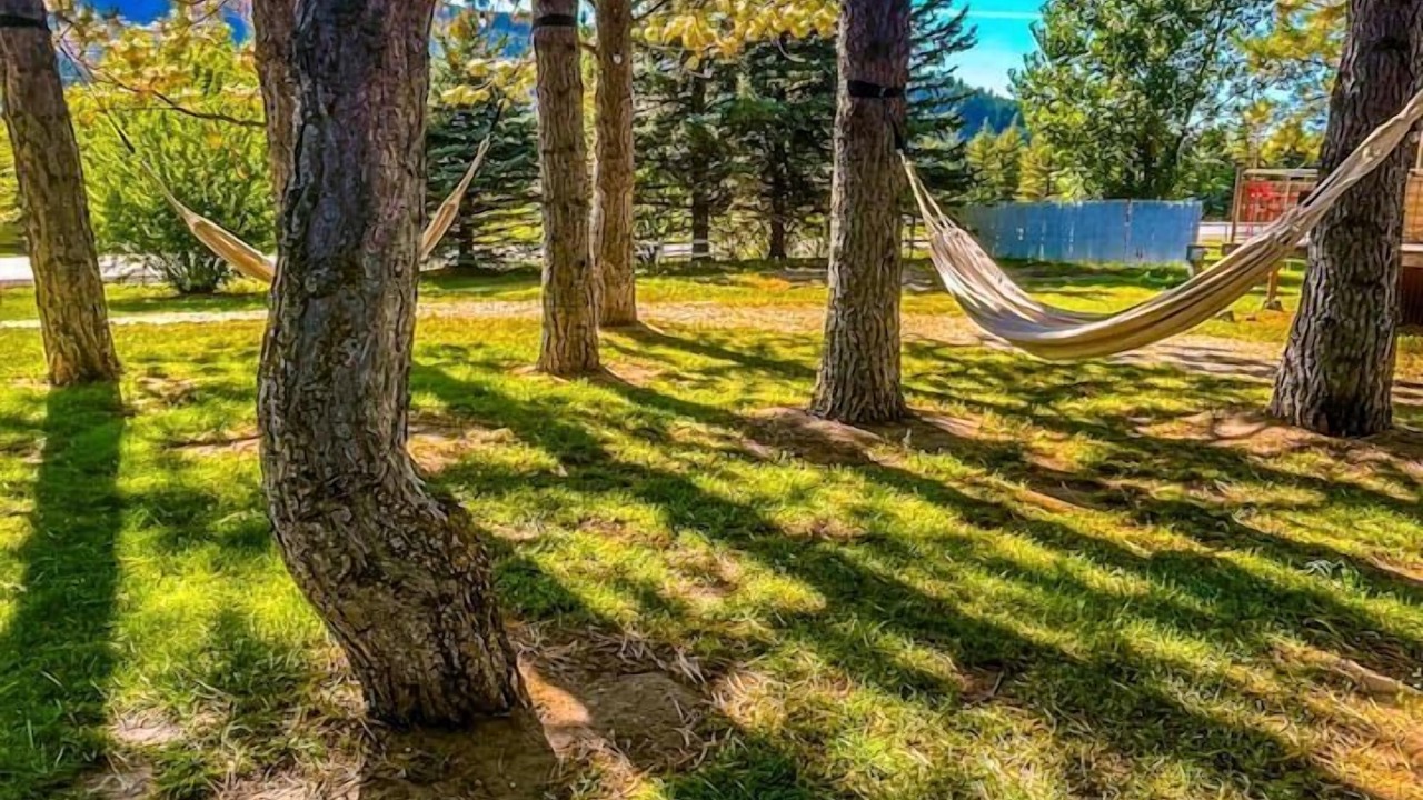 Photo of Outdoor in Palisades