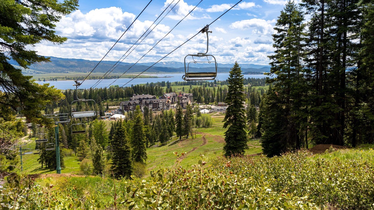 Photo of Others in Tamarack