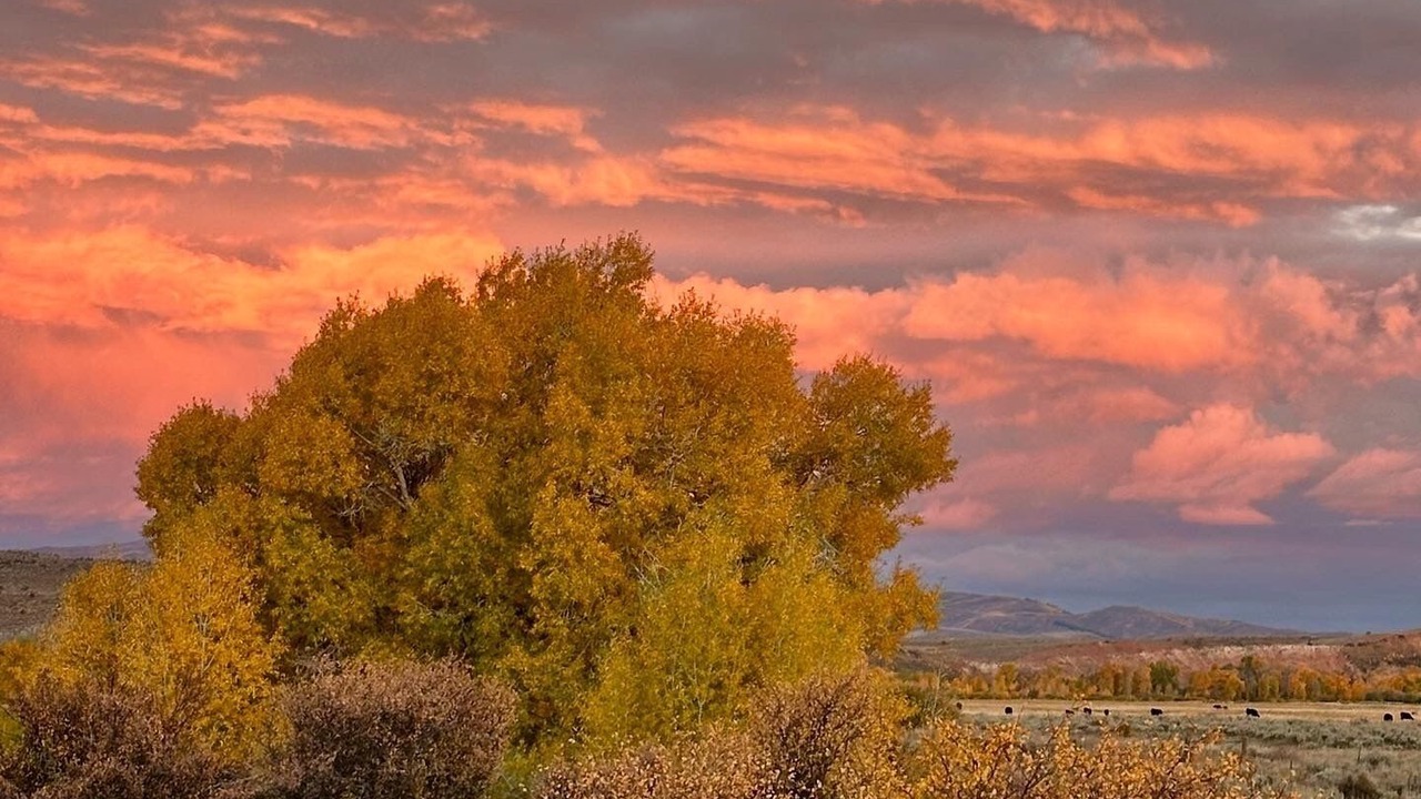 Photo of Others in Uinta County