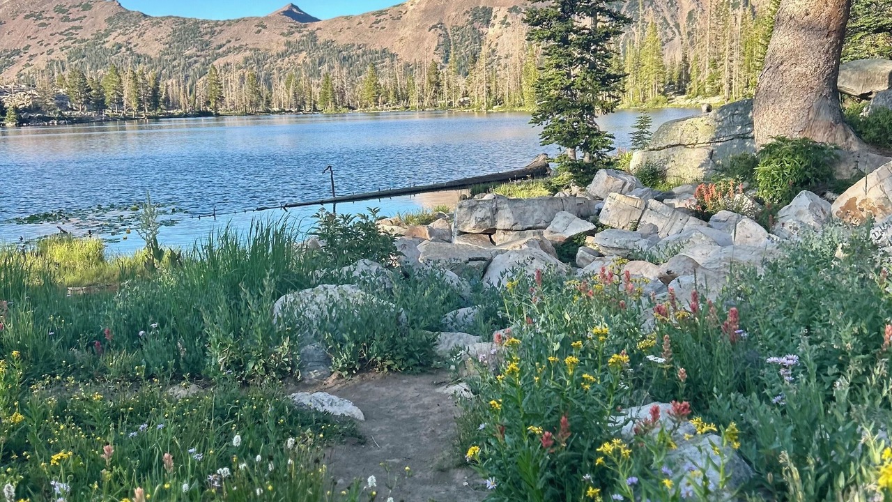 Photo of Others in Uinta County