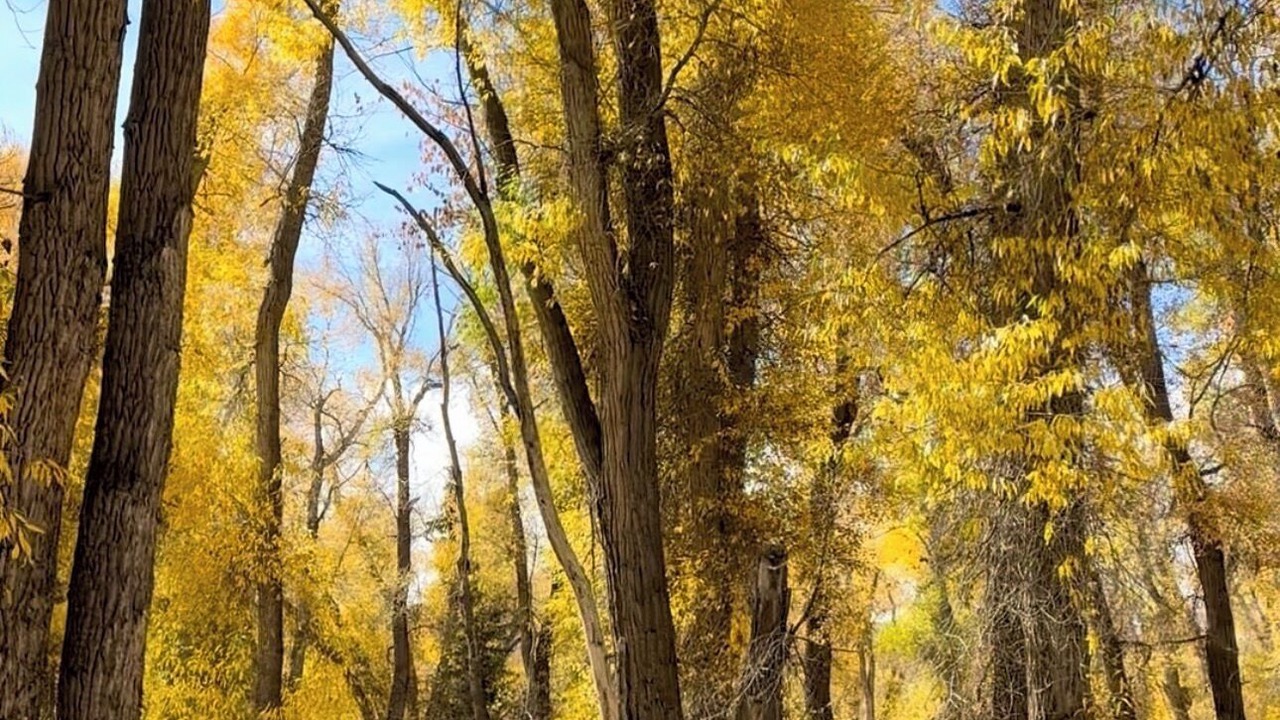 Photo of Others in Uinta County