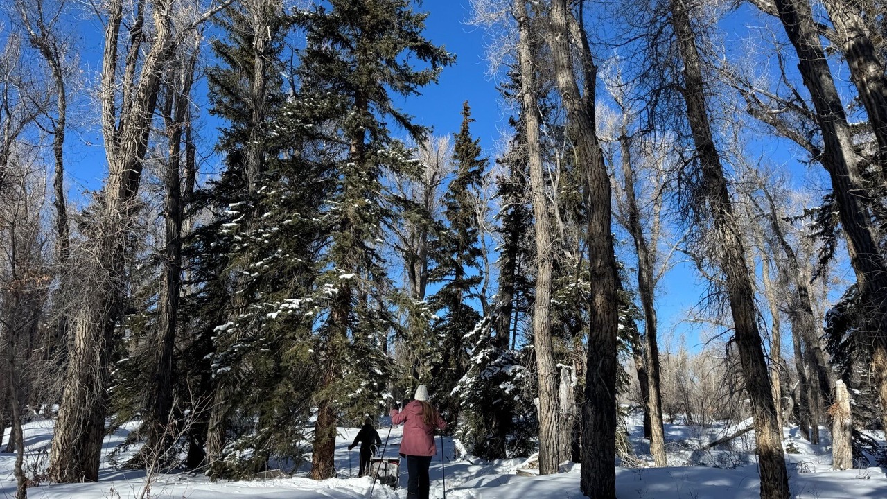 Photo of Others in Uinta County